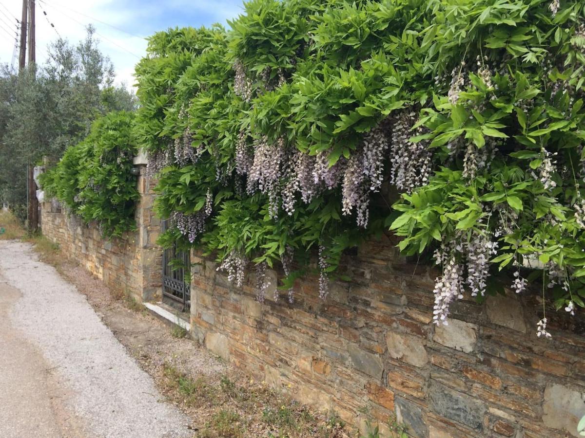 Villa Liana Sourpi 외부 사진
